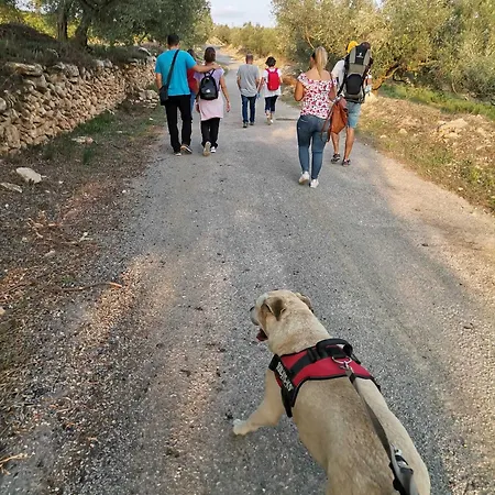 Rural Jorda Gospodarstwo wiejskie